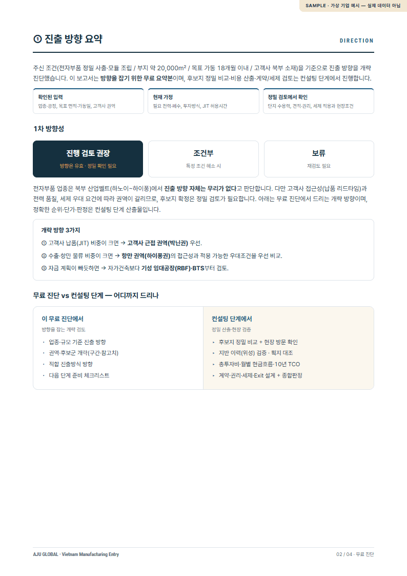 진출 방향 요약